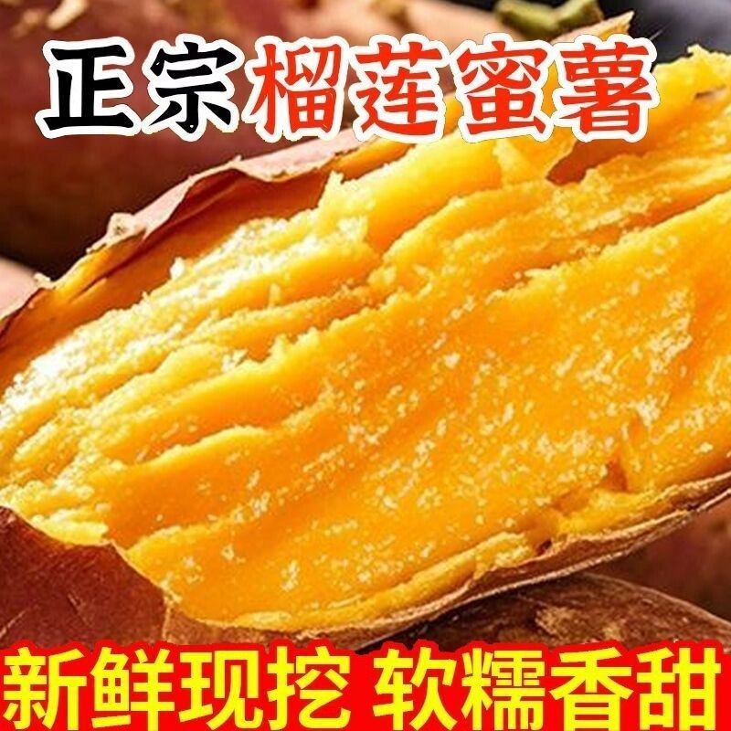 云南榴莲蜜薯正宗红瑶蜜薯新鲜榴莲黄金地瓜软糯香甜番薯无公害