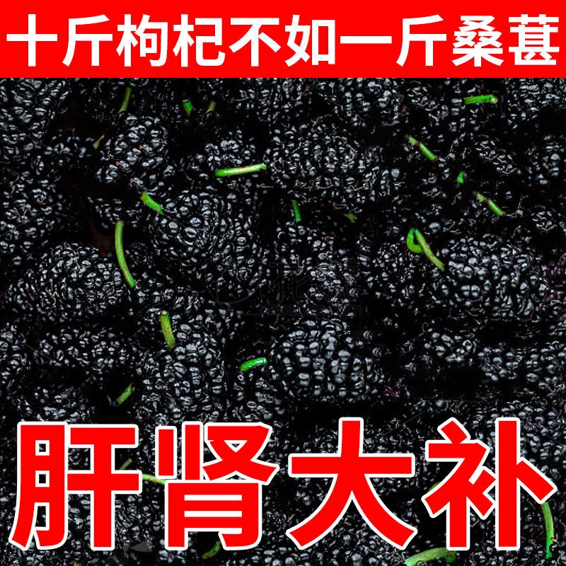 桑椹干干净无沙品质大颗粒
