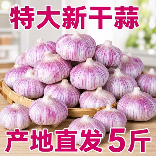 新干蒜大果1斤|超2000次加购