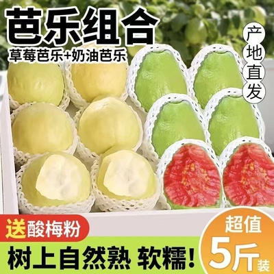 红白双拼芭乐大果|超1000次加购