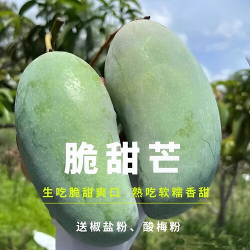 脆甜芒果新鲜采摘芒生吃腌酸酸野可生熟两吃水果金煌脆甜个大