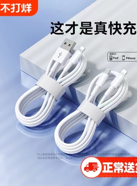 驯龙师 数据线适用于iPhone14苹果13快充11promax手机12充电器7p 6se加长8plus闪充PD20W充电线iPad平板2米XR