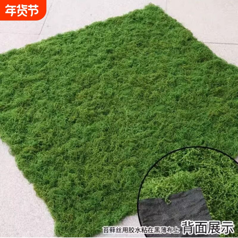 不掉色不掉渣不褪颜色苔藓草皮微景观装饰植绒假苔藓仿真青苔盆景