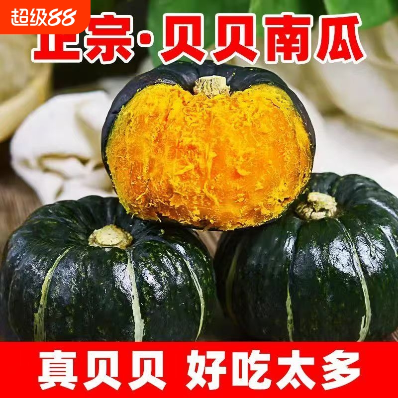 板栗味贝贝南瓜粉糯香甜