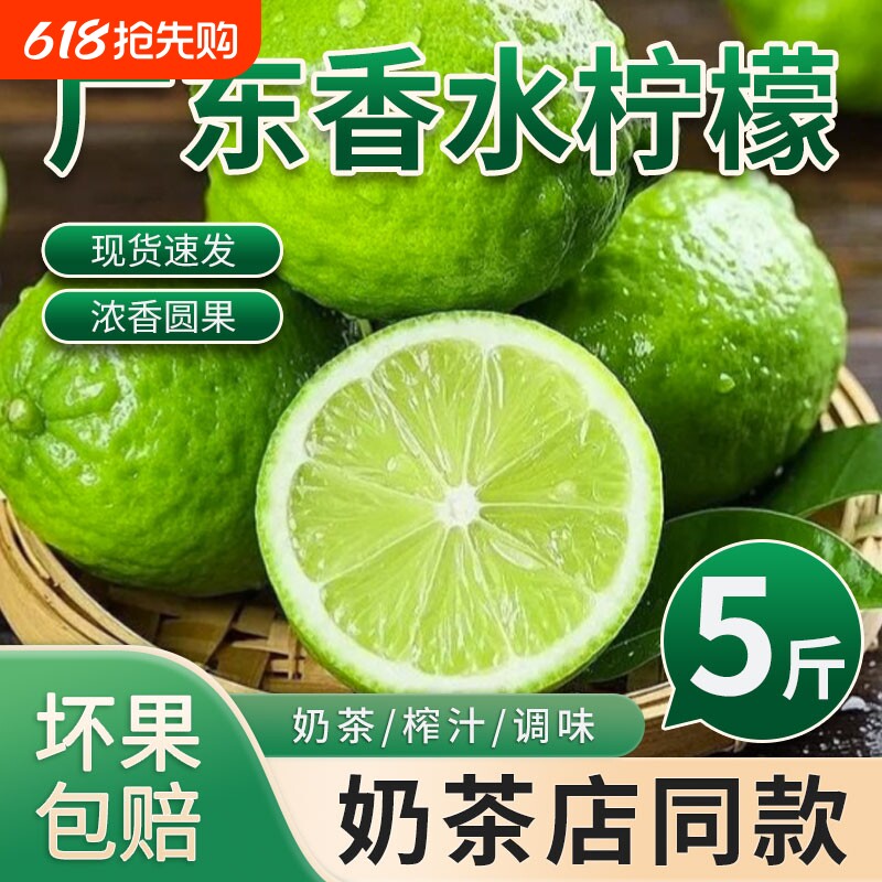 广东香水柠檬青柠檬新鲜水果正宗无籽一级果应季奶茶店专用鲜柠檬