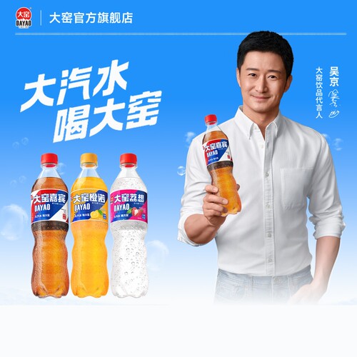 大窑果汁汽水橙诺荔想碳酸饮料气泡水520mL饮品荔枝味果味橙味