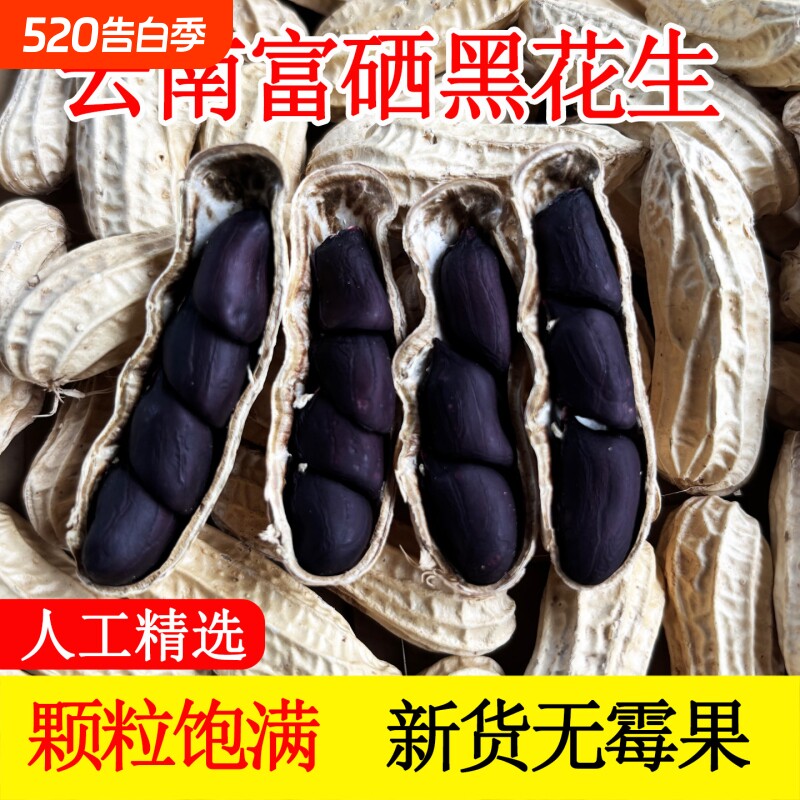云南富硒黑花生带壳小粒原味甜黑皮种籽特产2025新货花生晒干健康