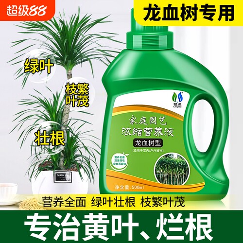 龙血树专用肥料室内绿植养花花肥