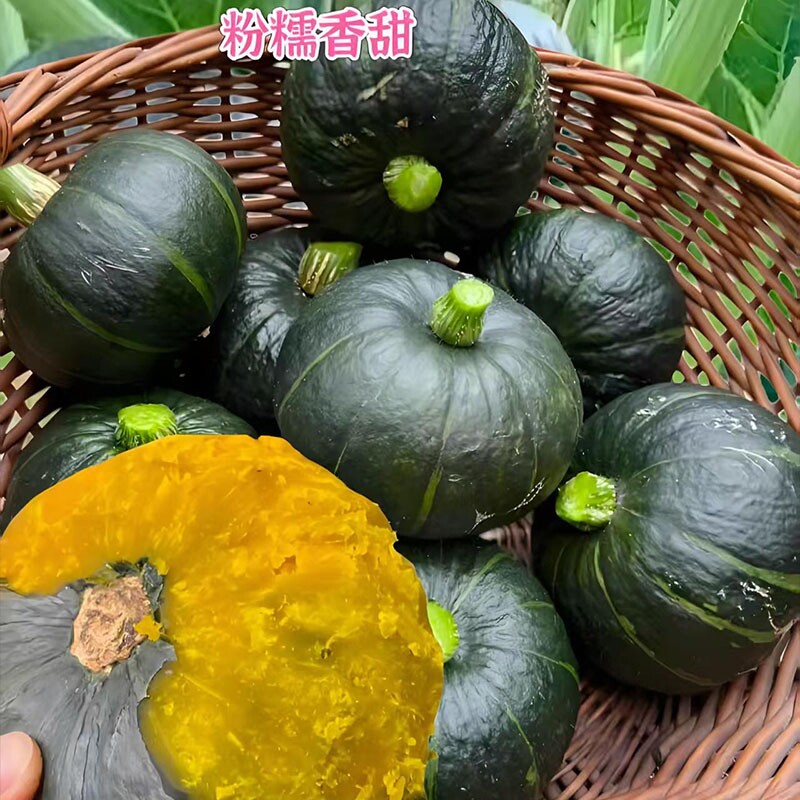 贝贝南瓜板栗小南瓜正宗板栗味婴儿辅食农家自种新鲜南瓜贝贝粗粮