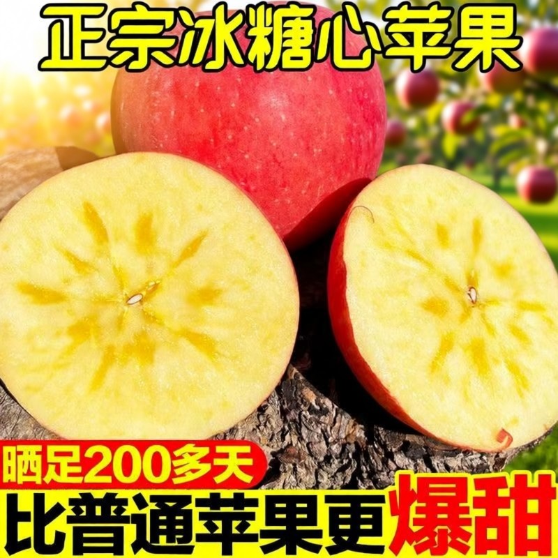【超低价】冰糖心苹果现摘现发新鲜水果红富士一整箱丑苹果脆甜,水产肉类/新鲜蔬果/熟食,苹果,淘宝优惠券,粉丝福利购,淘宝优惠卷