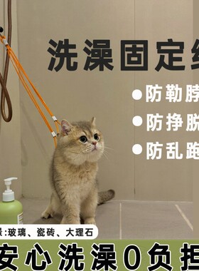 洗澡绳猫咪洗澡固定器美容神器猫绳子防跑防抓吊绳挂绳吸盘美容台