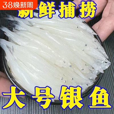 新鲜冷冻银鱼银鱼鲜活速冻淡水银鱼淡水水库白饭鱼小银鱼批发商用