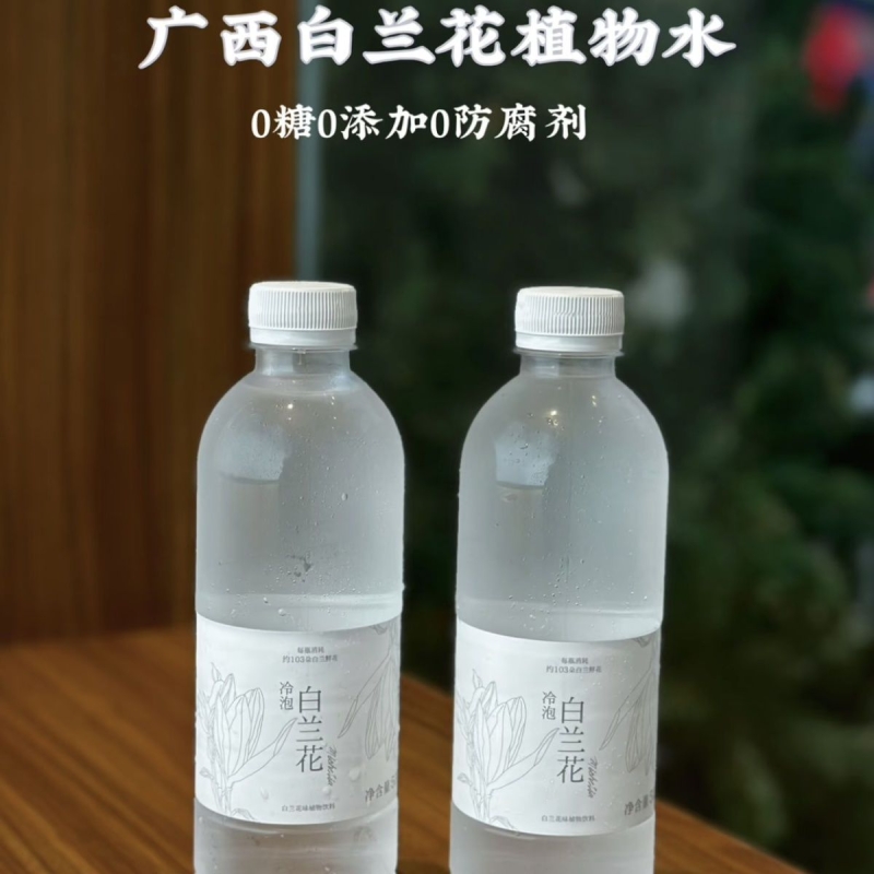 冷泡茉莉茉莉花茶天然茉莉花0糖0卡夏天饮料水无香精无防腐剂液体