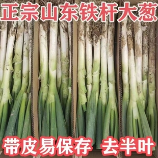 山东大葱新鲜铁杆大葱5斤装蔬菜现挖现发非章丘大葱卷饼大葱包邮