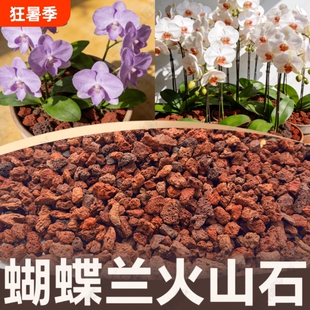 火山石小颗粒养花蝴蝶兰花专用多肉铺面石水培植物鱼缸底砂石造景