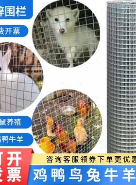 栅栏镀锌铁丝钢丝网防锈防鼠圈地防护热镀锌围栏养殖鸡鸭防蛇小孔