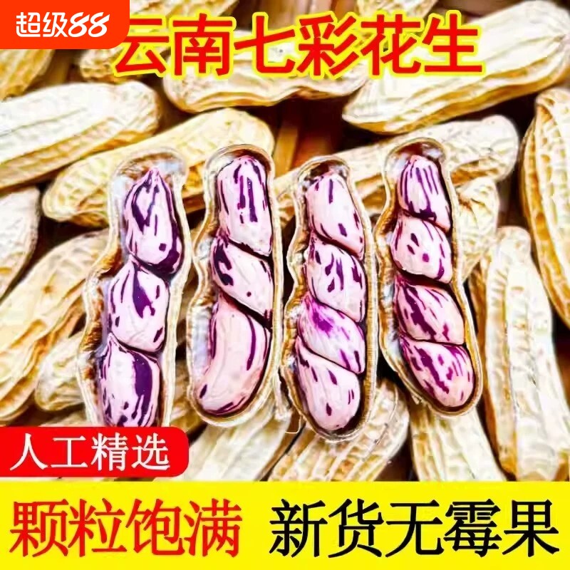 七彩花生奶香熟晒干带壳图片
