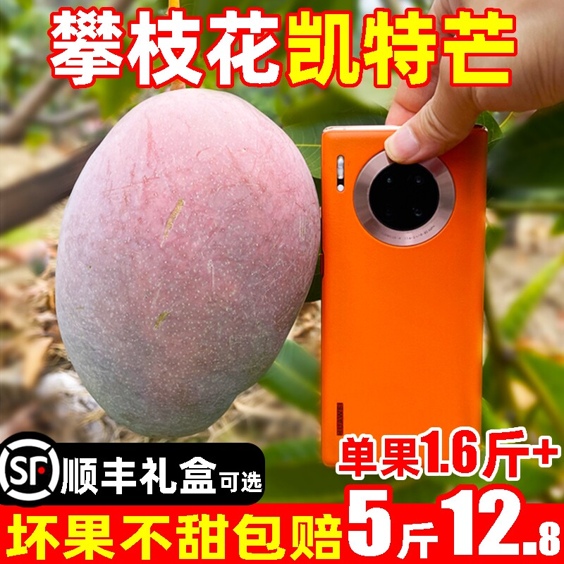 正宗四川攀枝花凯特芒芒果新鲜水果应当季整箱10斤大青生吃酸脆A