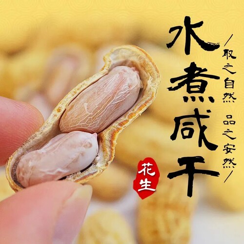 水煮白晒花生蒜香带壳炒货零食