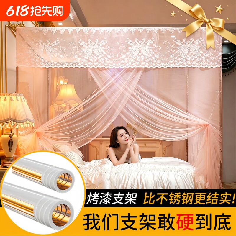 新款蚊帐家用卧室单开门宫廷蚊帐浪漫公主风加密网纱带杆子落地