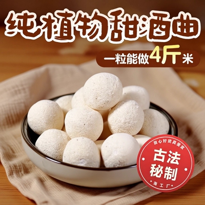 自制醪糟酒酿植物酒曲