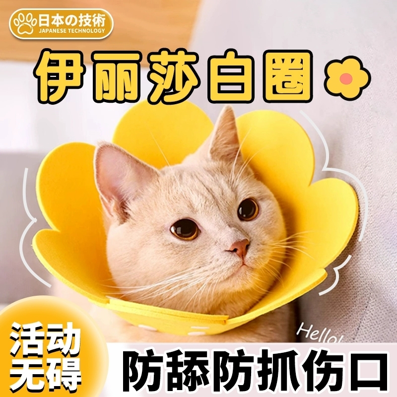 【猫咪伊丽莎白圈】绝育项圈伊利沙白圈防舔颈圈头套狗狗宠物脖圈