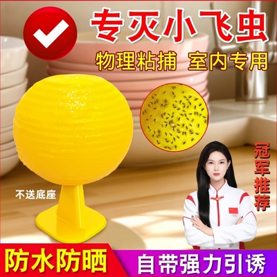 果蝇蚊虫诱捕器粘虫球小飞虫灭杀神器室内去除克星蠓虫诱苍蝇蚊子