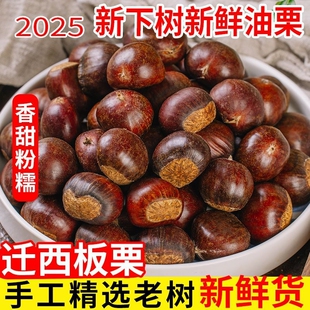 正宗迁西板栗2025年新货生新鲜栗子板栗生大油栗野生小毛栗子现摘