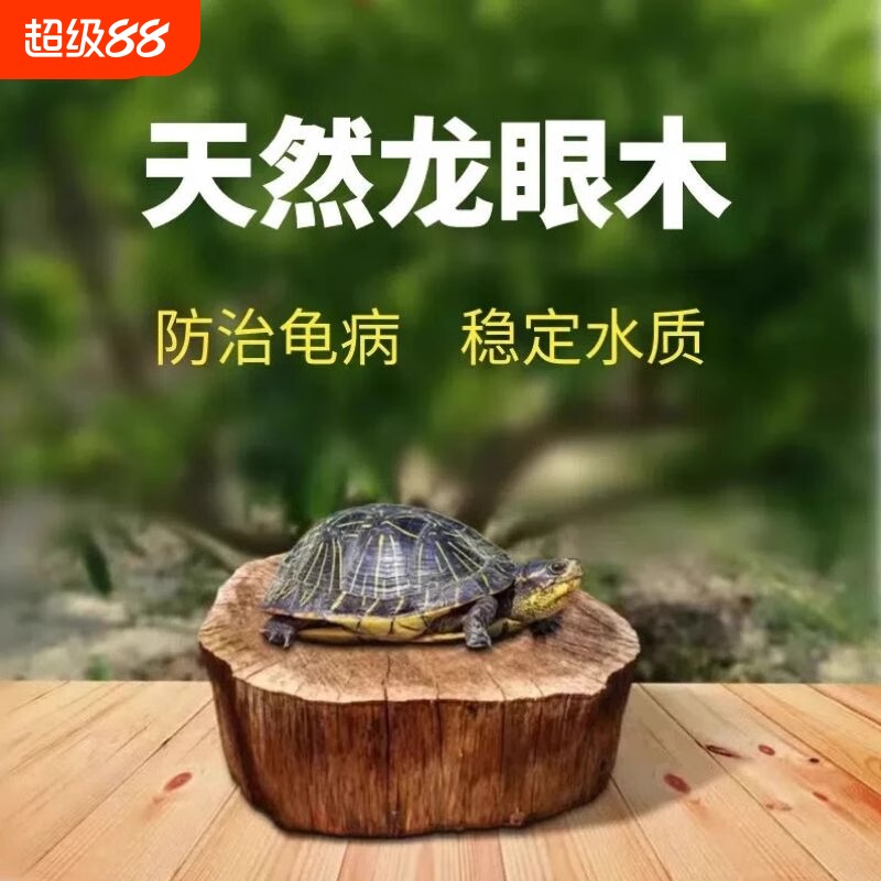 天然乌龟晒台免煮龙眼木休息台龟缸造景沉木植物海缸水质大型