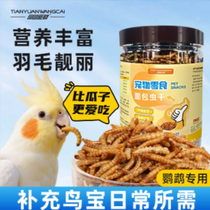 鹦鹉适用面包虫干黄粉虫干高蛋白八哥互动零食无盐活体饲料替代品