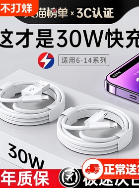 【原配30W快充】快充数据线适用苹果14iPhone13/12proMax11充电线器手机XS/XR/8p加长iPad平板6s2米7plus柚狮