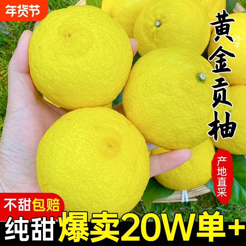 黄金贡柚10斤包邮湖南怀化新鲜当季整箱水果纯甜春香橘柚象山青