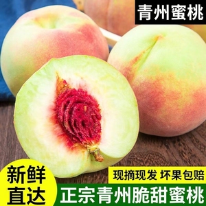 青州蜜桃应季当季正宗山东脆甜冬桃雪桃秋桃现摘新鲜离核小毛桃子