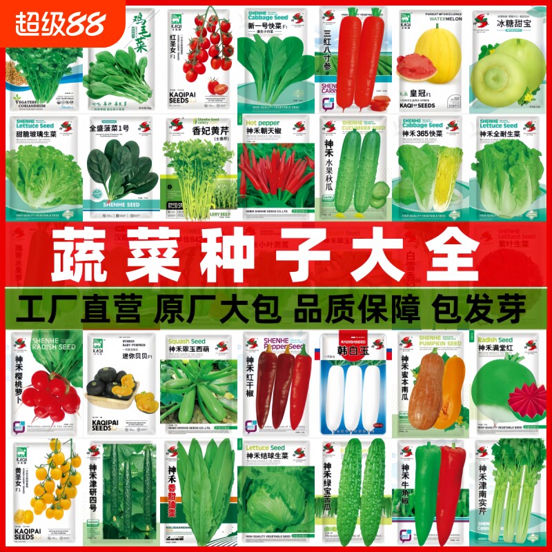 蔬菜种子多季播辣椒西瓜籽孑香菜春季蔬菜大全菠菜四季豆番茄白菜