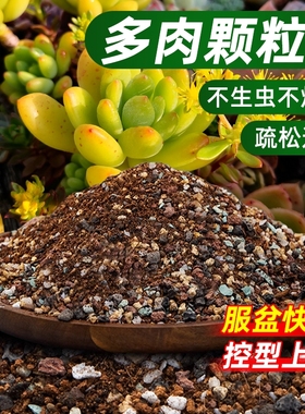多肉专用颗粒土多肉植物营养土叶插纯颗粒种植土壤基质疏松泥炭土