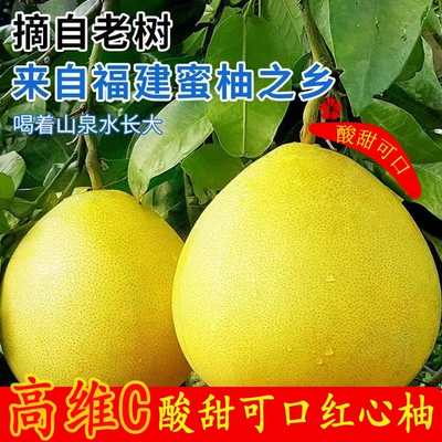 三红蜜柚福建平和琯溪红心密柚子新鲜现摘漳州馆管溪柚官溪肉水果