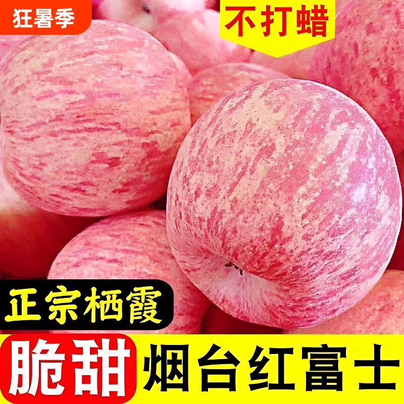正宗山东烟台红富士苹果苹果新鲜水果脆薄皮栖霞苹果脆甜大果多汁 - 实物图