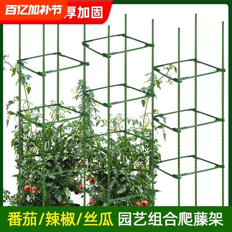 番茄架子爬藤架蔬菜架杆种菜支撑盆栽庭院固定西红柿黄瓜种菜支架