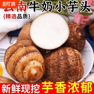 云南毛芋头奶芋新鲜现挖先发小香芋软糯香甜奶牛奶小芋头芋艿软糯