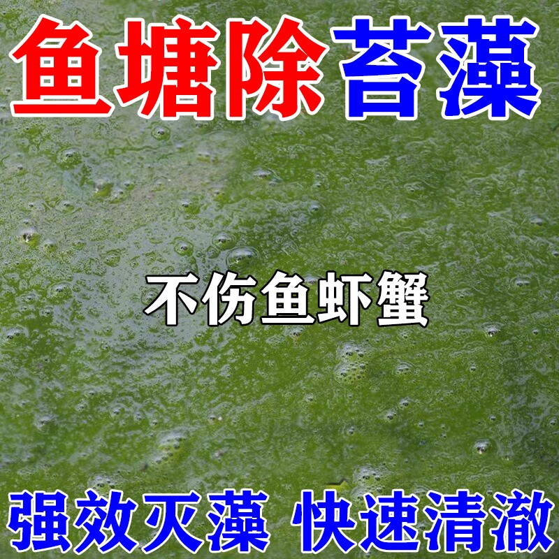 鱼池除藻去苔剂不伤鱼虾蟹速除青苔灭绿水藻去黄鱼缸净水专用剂图片