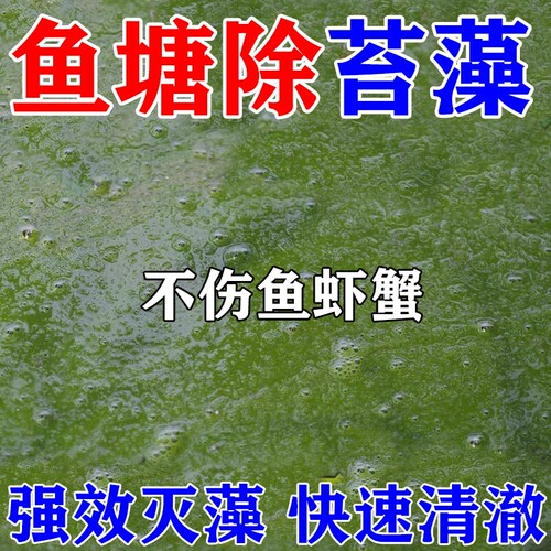 鱼池除藻去苔剂不伤鱼虾蟹速除青苔灭绿水藻去黄鱼缸净水专用剂