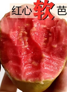 正宗红心番石榴软糯香甜