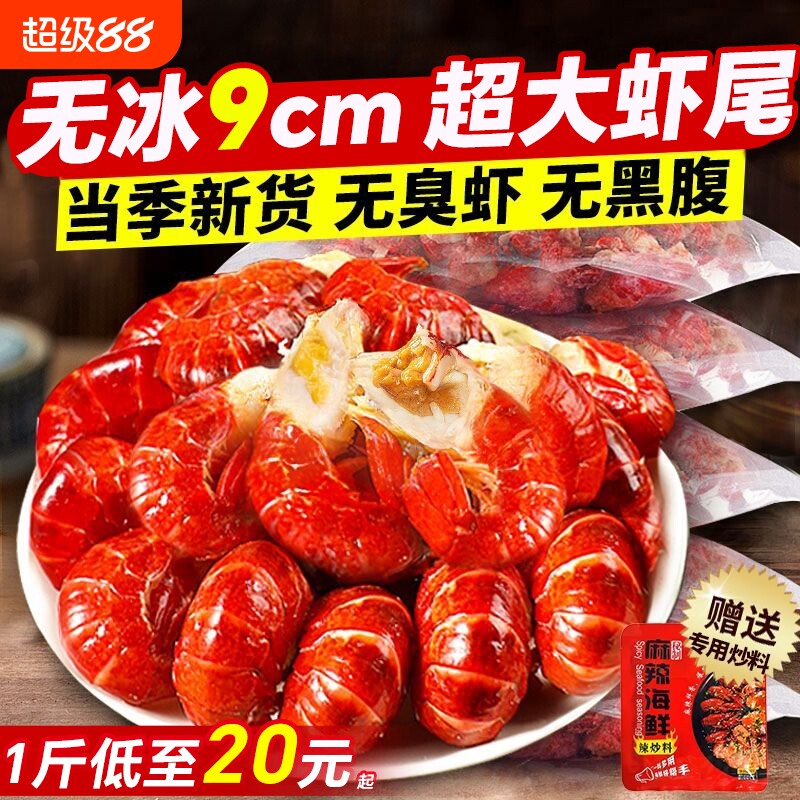 无冰衣龙虾尾鲜冻小龙虾冷冻新鲜特大号麻辣整箱餐饮商用批发虾球