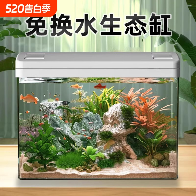 鱼缸客厅家用2025新款过滤制氧一体专业造景金鱼斗鱼小型生态缸