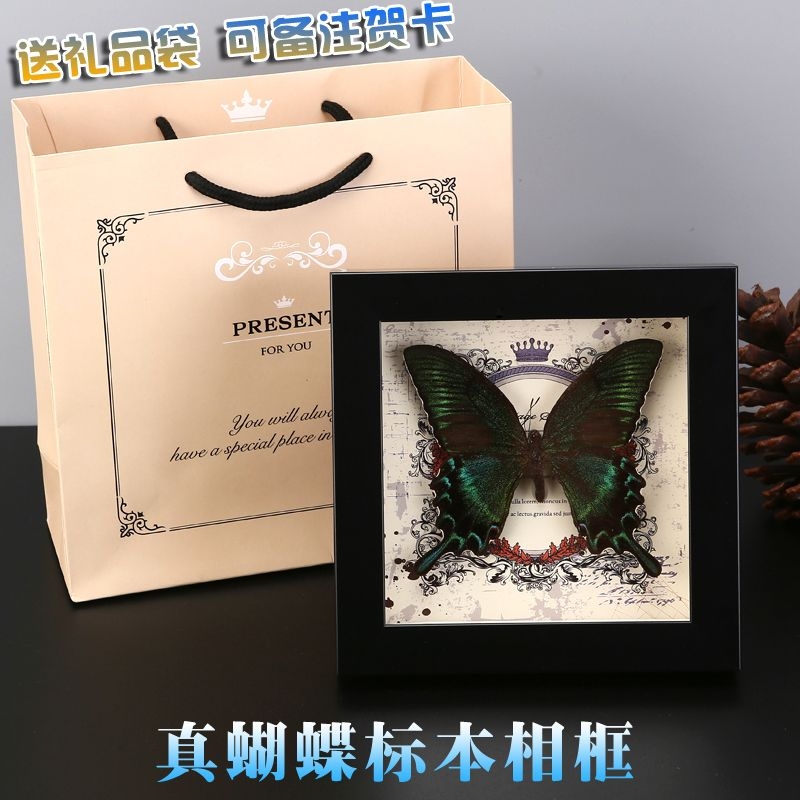 真蝴蝶标本相框 欧美装饰画DIY复古相框摆台家居装饰生日礼物礼品图片