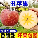 正宗冰糖心丑苹果多汁当季 新鲜水果红富士一整箱批发脆甜现摘香甜