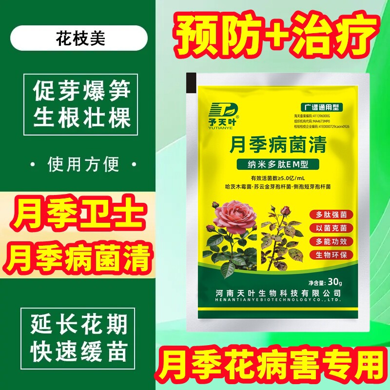 月季花黑斑病专用药多肉蔷薇玫瑰兰花常用药多菌菌灵白粉病杀菌剂图片