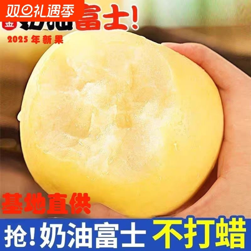 新果上市山东烟台黄金奶油富士花皮丑苹果应季采摘直发当季果园
