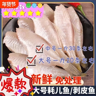 耗儿鱼中大号新鲜扒皮鱼新鲜剥皮鱼大号冷冻马面鱼商用批发火锅料