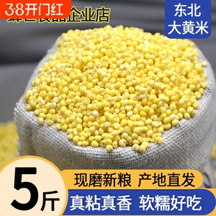 黑龙江大黄米5斤新米粘糯黄米米糯小米黍米做粘糕粘豆包新鲜黄金